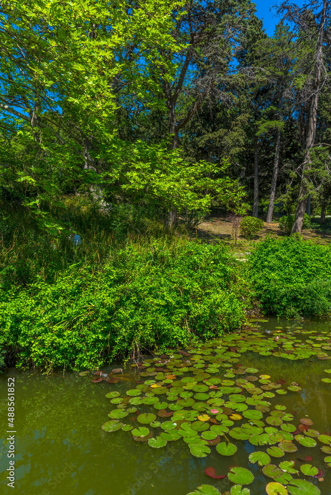 pond with red -eared turtles Crimea pond with red -eared turtles Crimea