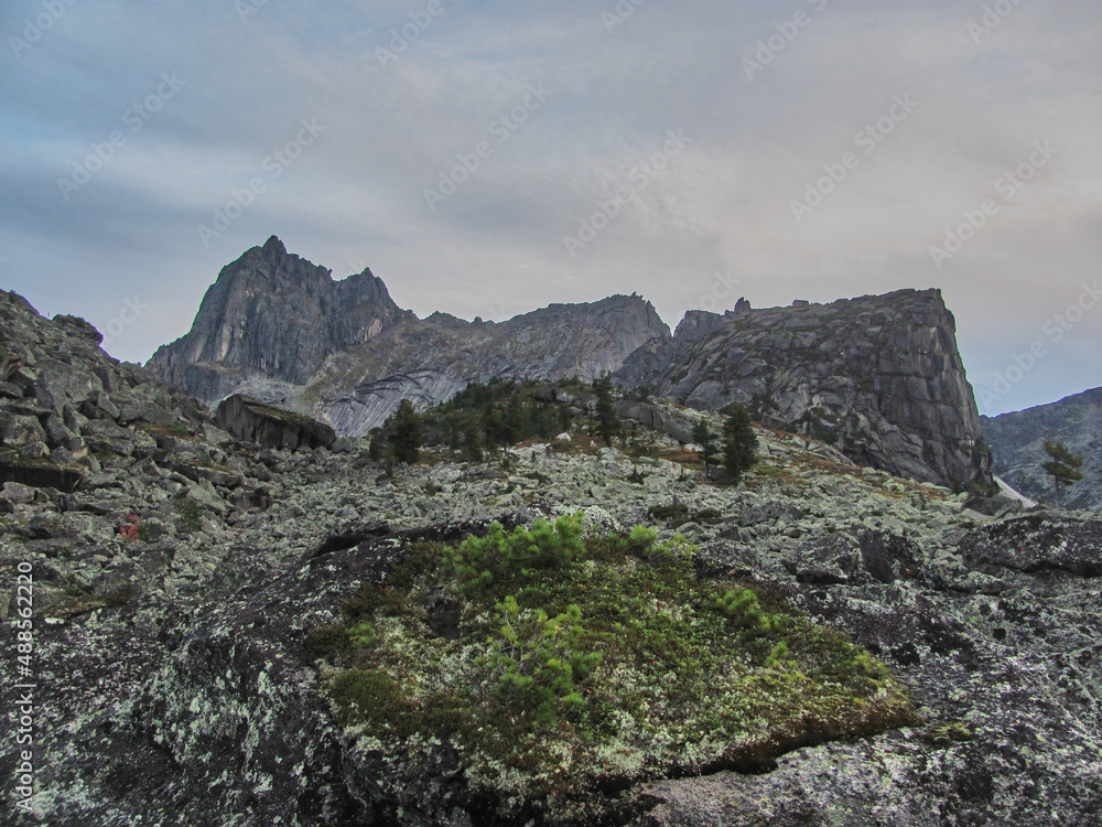 Naklejka premium Reserve Ergaki summer season Siberia.