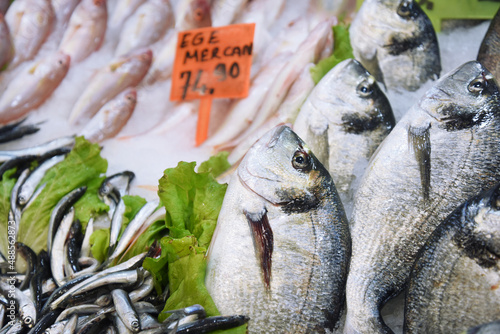 sea ​​bream, sea bream sale at the fish counter photo