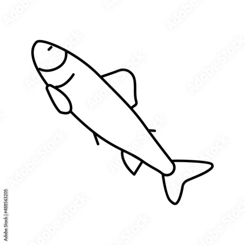 Fotografie parr salmon line icon vector illustration