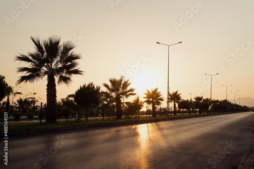 Promenade on the Alanya coastline with palms at road after sunset