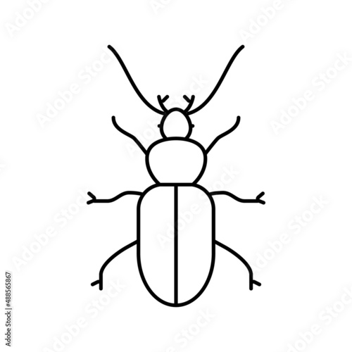 flea insect line icon vector illustration