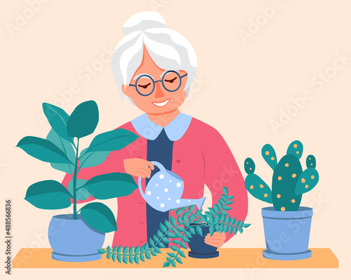 Elderly woman waters flowers from a watering can. Potted plants stand in front of her. Vector Illustration in flat style