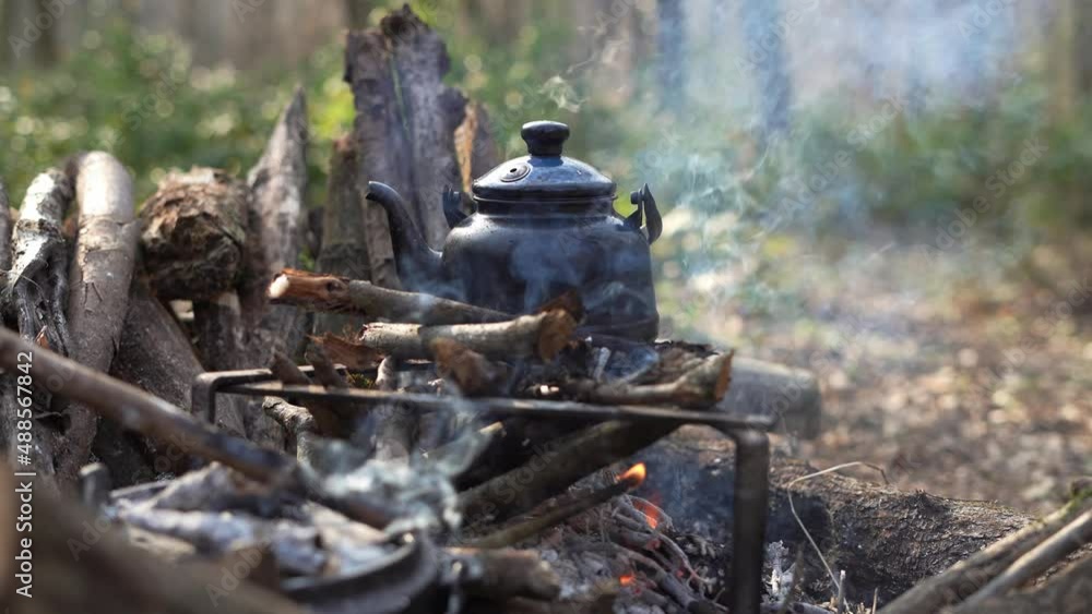 Close up. looped video of fire / campfire Fireplace. Bonfire in the afternoon. Firewood burns in the fireplace. Bonfire. Tongues of flame. Screensaver on the phone / TV. Fire.