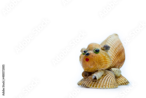 Fake from shells on a white background.