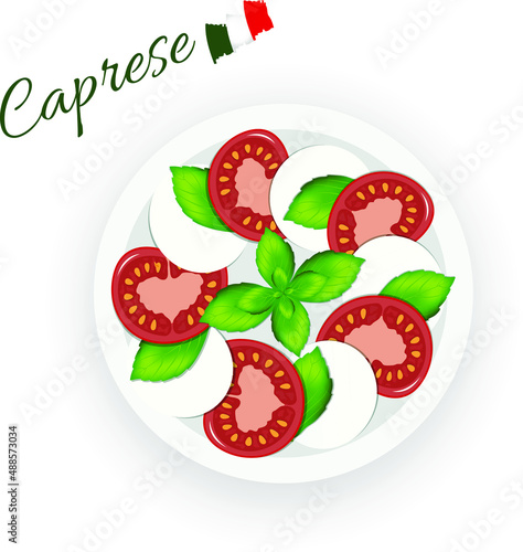 italian caprese salad with mozzarella and tomatoes and basil