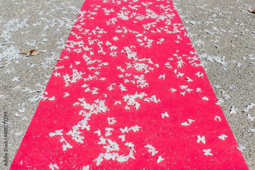 Alfombra roja con confeti en forma de mariposas blancas de papel. Suelo con alfombra lleno de mariposas. Salida de la iglesia en una boda religiosa.