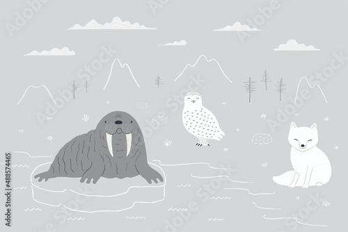 Cute Arctic animals, fox, snowy owl, walrus, northern landscape, isolated. Hand drawn vector illustration. Winter animal character, wildlife. Design concept kids fashion, textile print, poster card