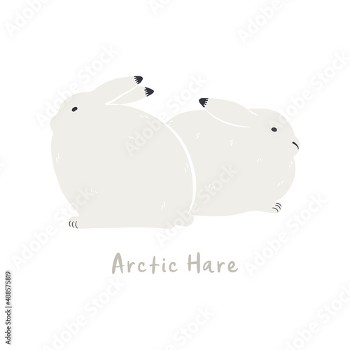 Cute cartoon arctic hares, isolated on white. Hand drawn vector illustration. Winter animal character. Arctic wildlife, nature. Design concept kids fashion, textile print, poster, card, baby shower.