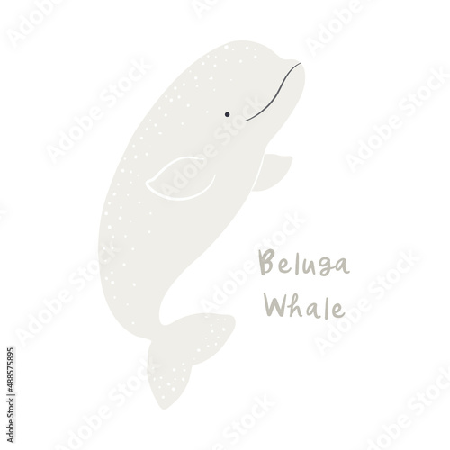 Cute cartoon beluga whale, isolated on white. Hand drawn vector illustration. Winter animal character. Arctic wildlife, nature. Design concept kids fashion, textile print, poster, card, baby shower.