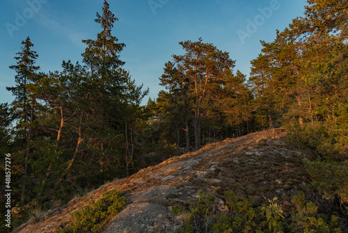 At sunset, seascape, sea view, rocks and northern low pines. Finnish nature. Turku. Vacation, vacation, relaxation concept