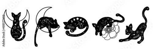 Hand drawn collection of celestial wild animals