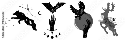 Hand drawn collection of celestial wild animals
