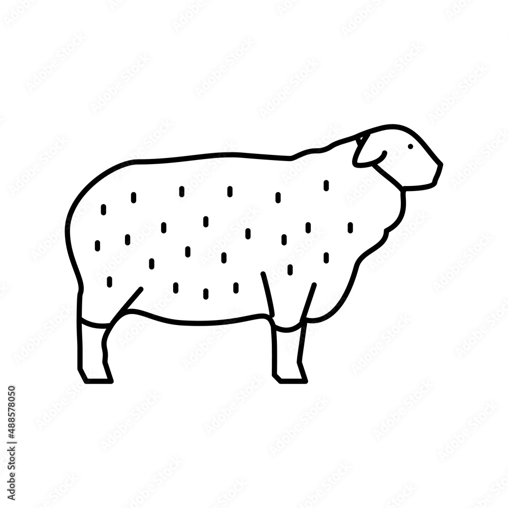 suffolk sheep line icon vector illustration suffolk sheep line icon vector illustration