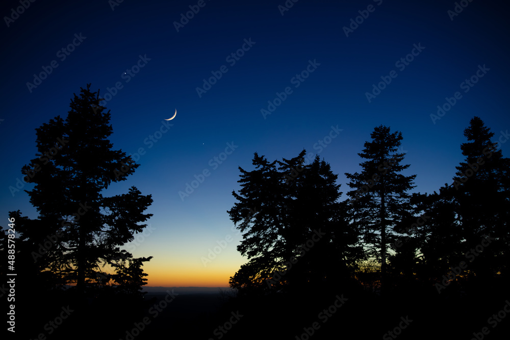 Crescent Moon with stars, planets and tree silhouettes on evening sky. Crescent Moon with stars, planets and tree silhouettes on evening sky.