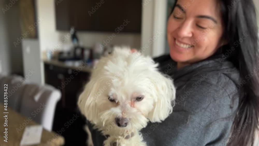 Young woman holds cute Maltese dog, petting him and smiling Young woman holds cute Maltese dog, petting him and smiling