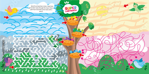 Birds in Super Maze Logic Game Printable Template