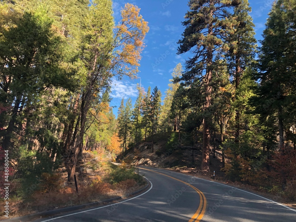 Obraz premium road in autumn