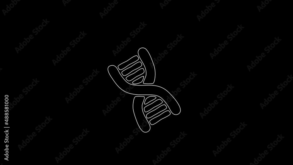white linear DNA silhouette. the picture appears and disappears on a black background. white linear DNA silhouette. the picture appears and disappears on a black background.