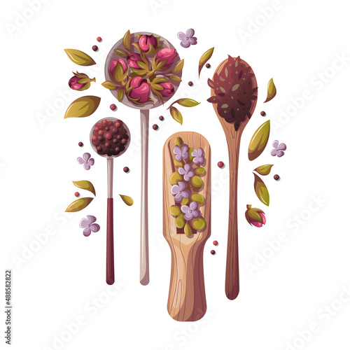 Spoons and scoop of loose tea, ingredients. Tea shop, cafe-bar, tea lover, tea party, kitchen concept. Isolated Vector illustration for poster, banner, menu, advertising. 