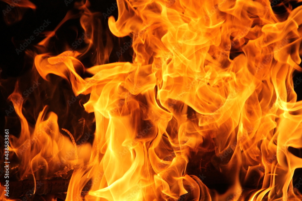 Fire flames on black background. Fire flames on black background.