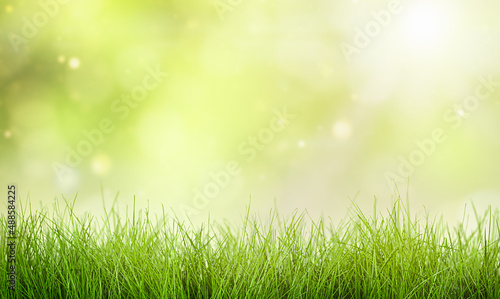 grass on defocus natural background