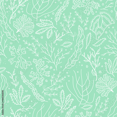 Cute seaweed seamless pattern, hand drawn underwater background, great for textiles, banners, wallpapers, wrapping - vector design
