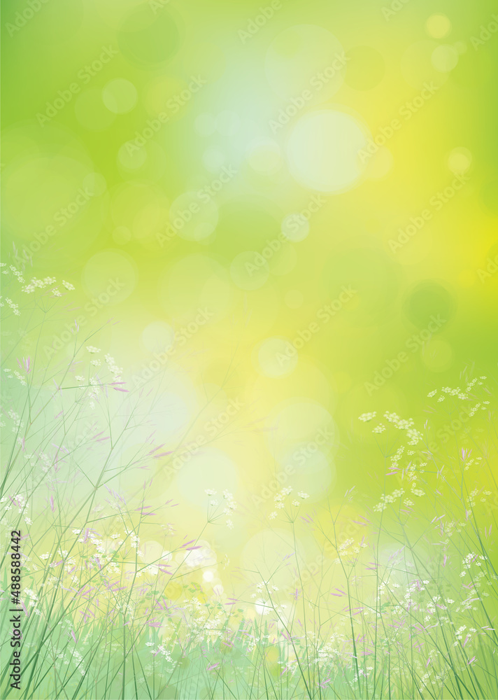 Vector summer,  green,  nature background. Flowers and plants on  green, bokeh background.