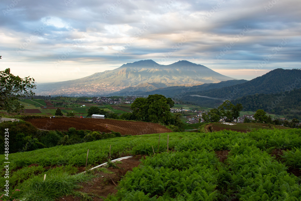 Fototapeta premium beautiful view of farmland in a tropical village