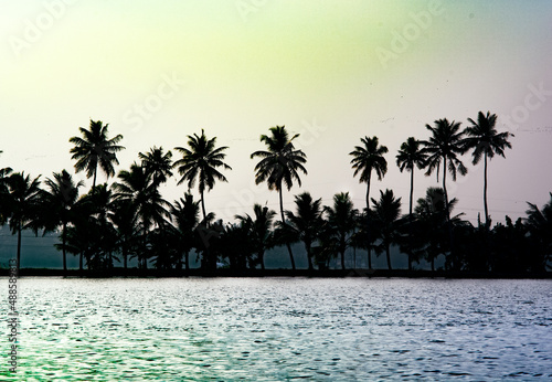 tropical island with trees © Subhadeep