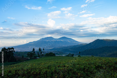 beautiful view of farmland in a tropical village