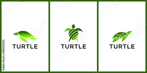 Turtle Gradient Colorful Style Vector Logo Illustration 