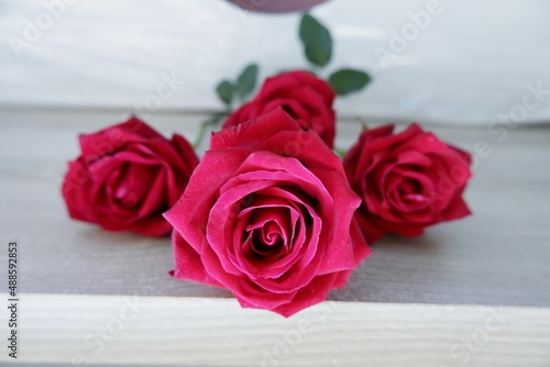 The color of love among red roses  the beauty of nature that is filled with a beautiful atmosphere.