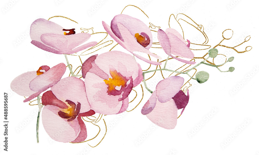 Hand painted and Golden Outlines tropical orchid flowers isolated element illustration
