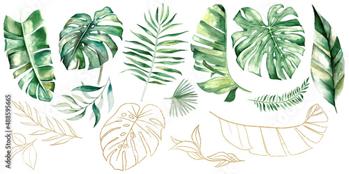 Green and Golden watercolor tropical palm, banana and monstera leaves illustration