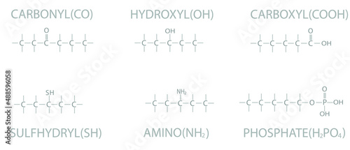 Functional groups of organic molecules. Skeletal chemical formula.	