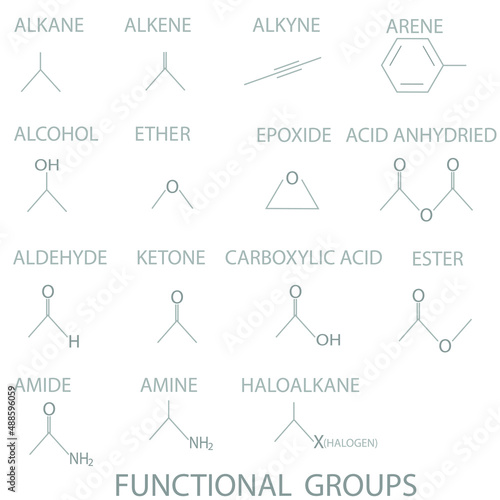 15 Functional groups molecular skeletal formula.	