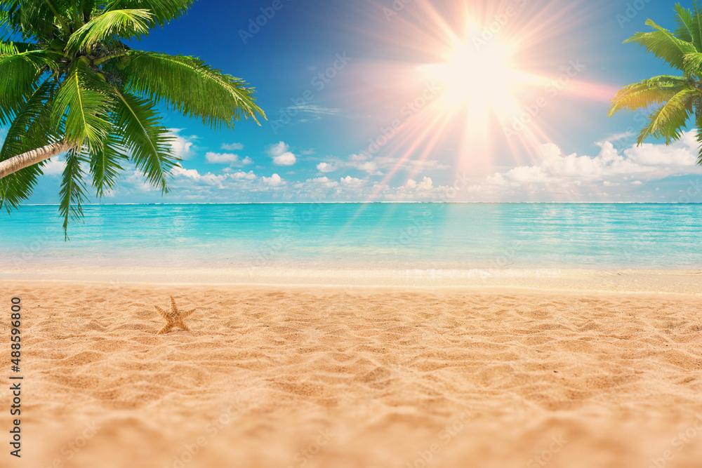 Sunny exotic beach by the ocean with palm trees at sunset. Summer vacation by the sea