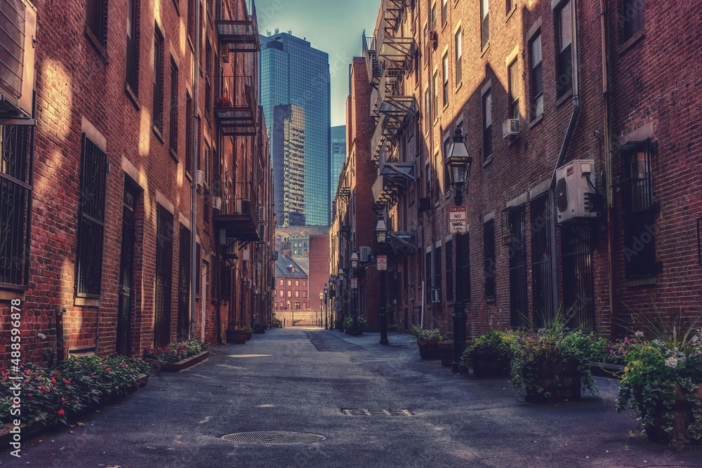 Fototapeta premium An alley in the city