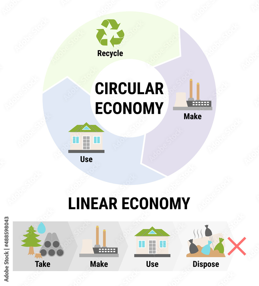 Comparison of linear and circular economy infographic. Sustainable