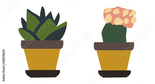 Boho plants in pots. Isolated objects of plants. clip-art