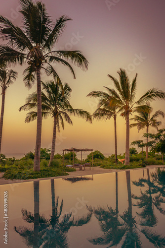 ropical resort with pool at sunset. Pool and palm trees silhouettes in evening dusk. Twilight in tranquil paradise. Scenic exotic landscape. Luxury resort in dusk. Summer travel.