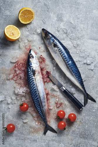 Cleaned mackerel fish with knife ready to cook. Preparing mackerel fish to cook