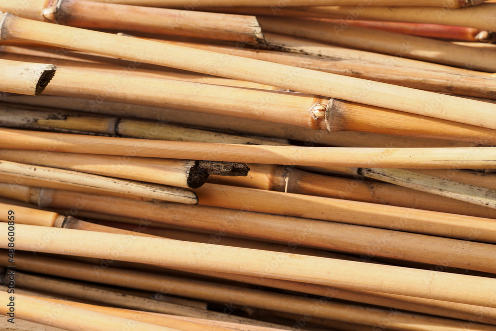 Detail of reed wicker lying on top of each other. Detail of reed wicker lying on top of each other.