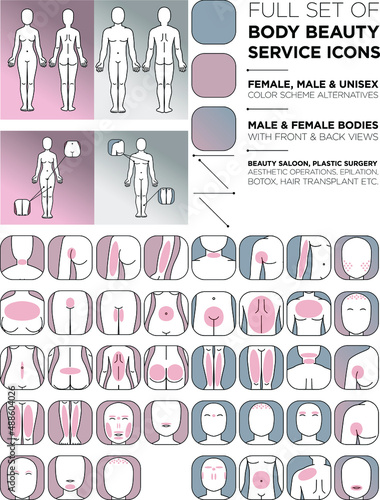 Cartoon male and female body parts concept with front and back view face shoulder torso arm leg buttocks foot knee chest abdomen vector illustration set for medical and beauty
