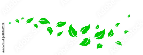 Green natural wave with flying leaves silhouettes on white background