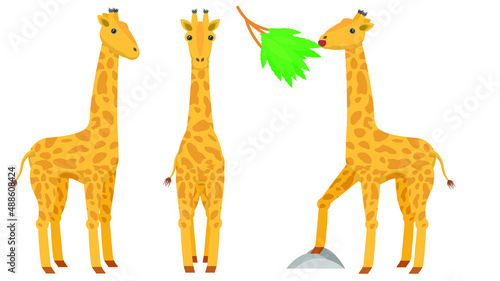 Set Abstract Collection Flat Cartoon Different Animal Giraffes African Stand  Eats Leaves Vector Design Style Elements Fauna Wildlife