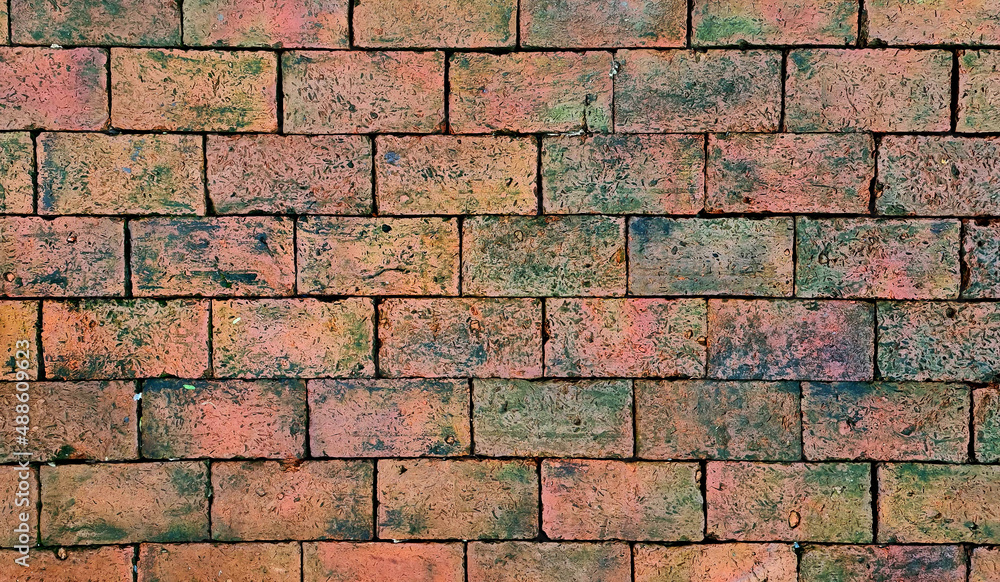 Obraz premium green moss on brick floor, old Wall brick with moss, weather brick ground with green moss. wet floor background. beautiful horizontal texture of part of an old orange crushed brick wall.