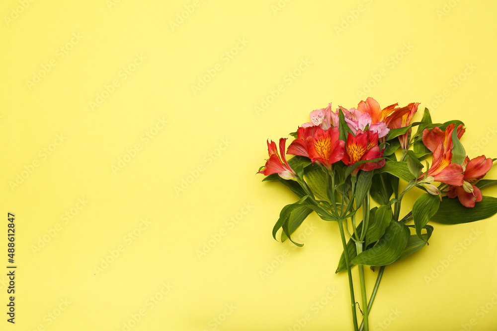 flowers on a yellow background. Space for text