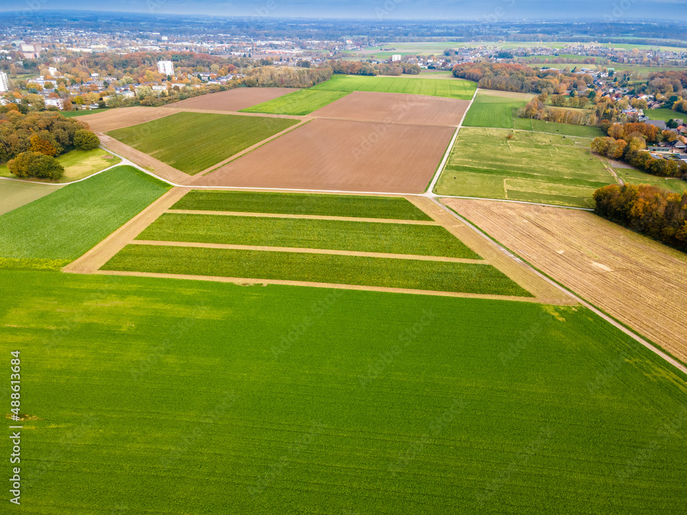 Obraz premium Aerial view of a pastures and arable land. Panorama over healthy green crops in patchwork pasture farmland